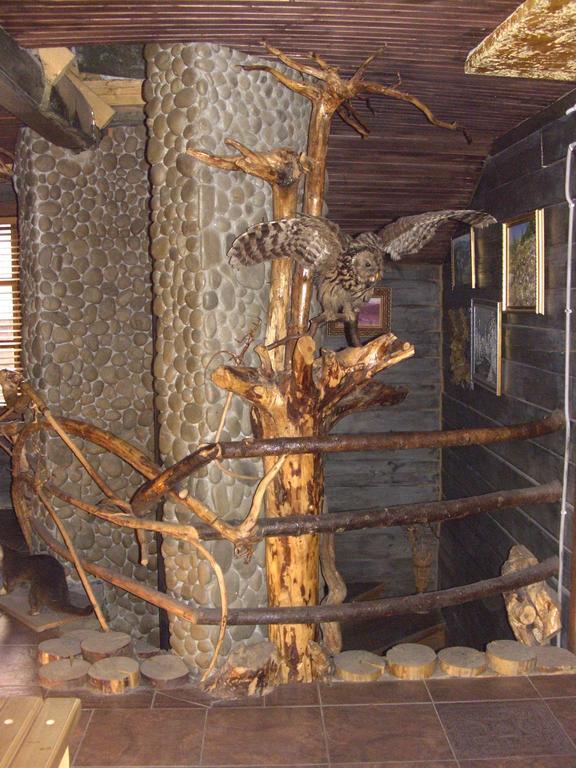 Chalet Truten Ворохта Екстериор снимка